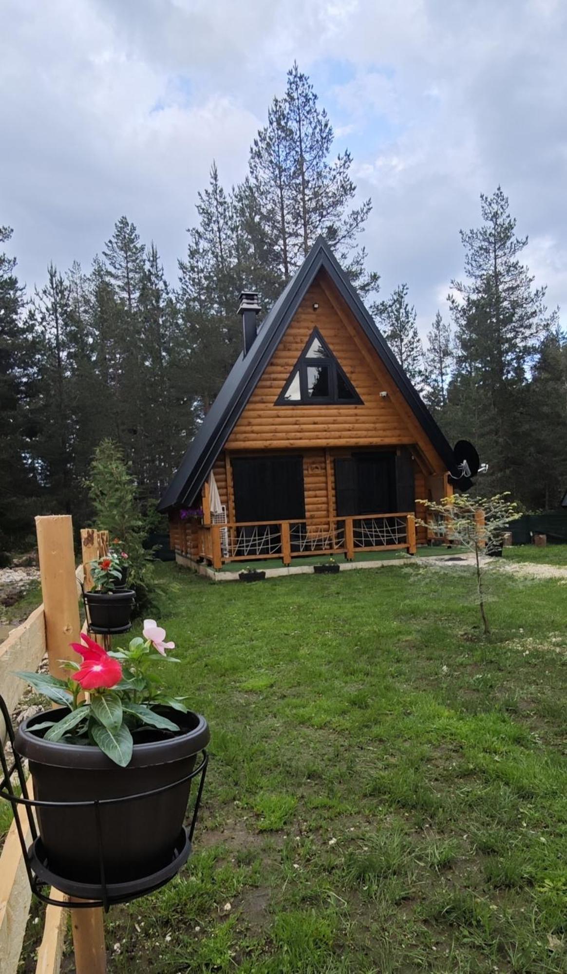 Pine Forest-White Žabljak Zewnętrze zdjęcie